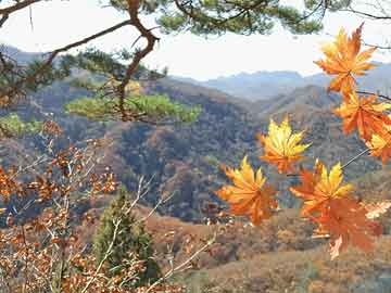 卫泽岩陶冉探秘最新章节揭秘