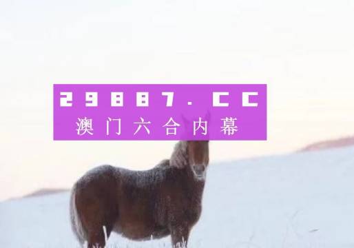 澳门一肖一码一中，探索背后的神秘与魅力