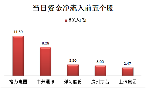 新奥天天精准资料大全，深度解析与应用展望